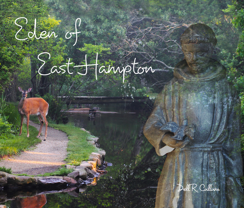 The story of the East Hampton Village Nature Trail, New York.