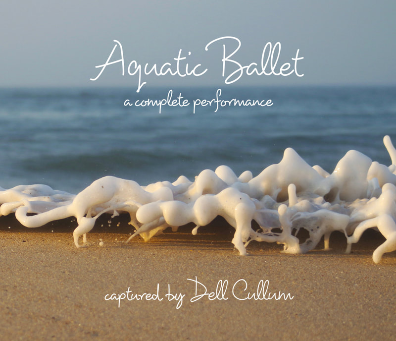 Aquatic Ballet - All three coffee table books combined PLUS many extras in a large size table book.